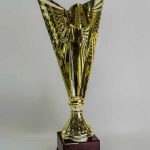WS7102/2 TROPHIES LASER CLASS